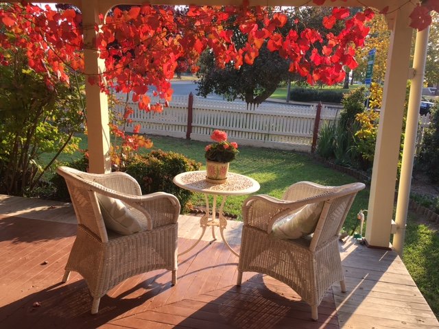 Strayleaves fron verandah autumnIMG 7468